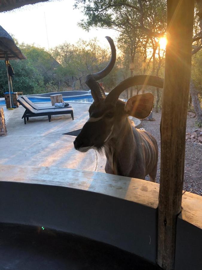 Pata Pata House Villa Marloth Park Bagian luar foto